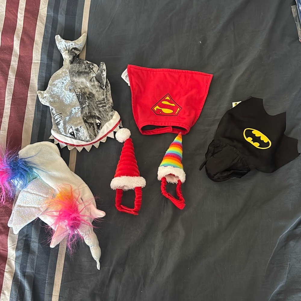 Bundle of Guinea Pig Costumes